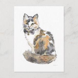 Fancy Calico Cat Postcard