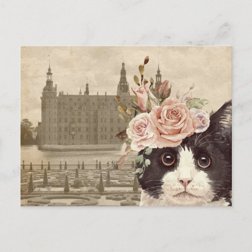 Fancy Cat  The Castle Postcard