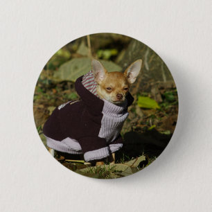 Fancy Chihuahua Button