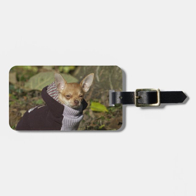 Fancy Chihuahua Luggage Tag (Front Horizontal)