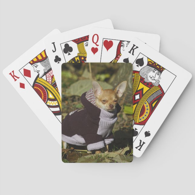 Fancy Chihuahua Poker Cards (Back)
