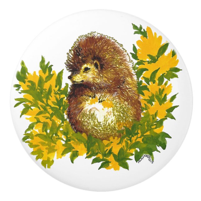 Fancy Cute Hedgehog Watercolor Print Designed Ceramic Knob (Front)