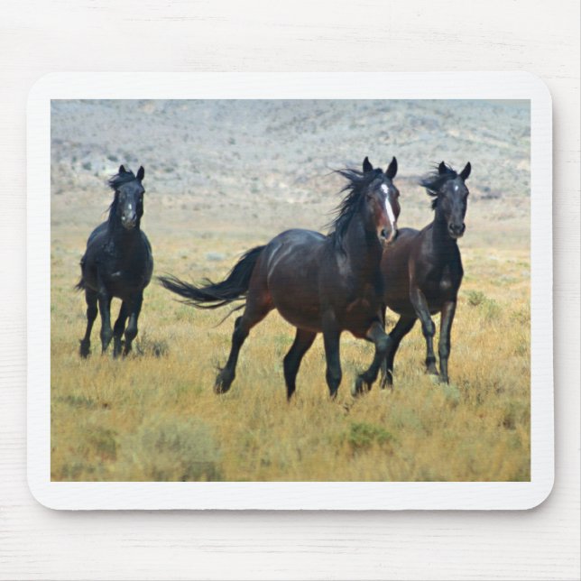 Fancy Free Mouse Pad (Front)