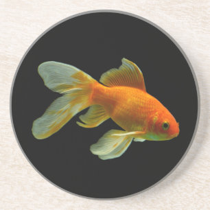 Fancy Goldfish Coaster