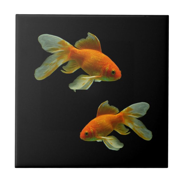 Fancy Goldfish Tile (Front)