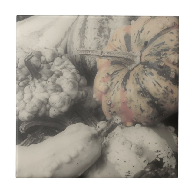 Fancy Gourds In Black And White Ceramic Tile (Front)