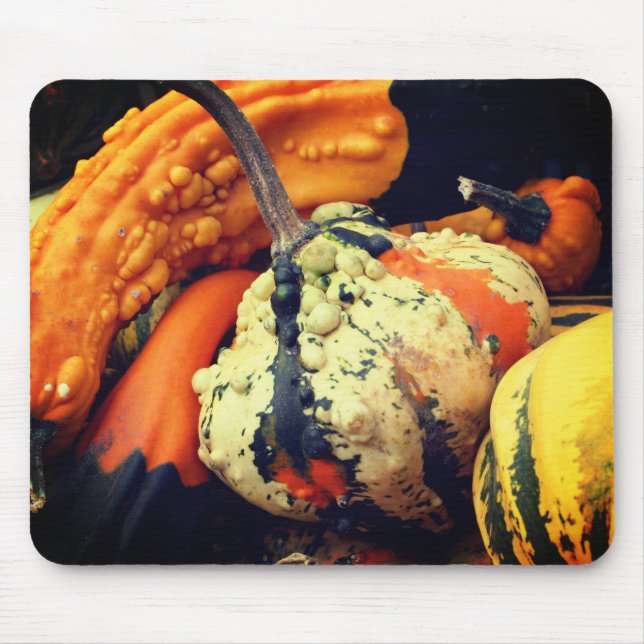 Fancy Gourds Nature  Mouse Pad (Front)