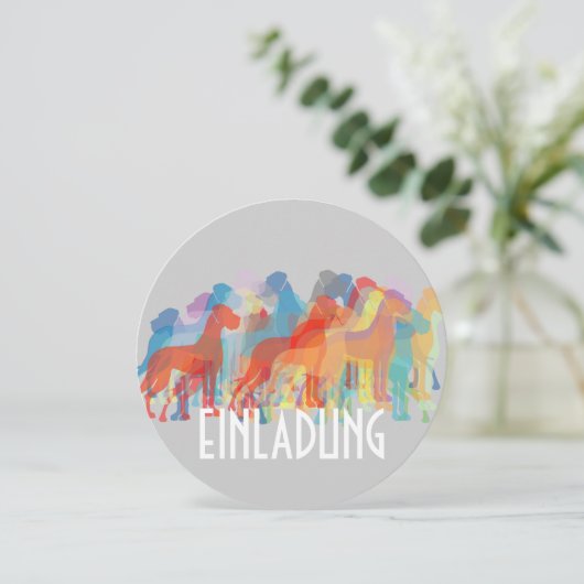 Fancy Great Danes (Standing Front)