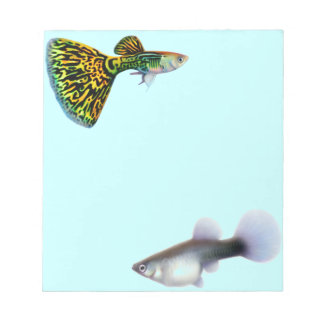 Fancy Guppies Livebearer Fish Notepad