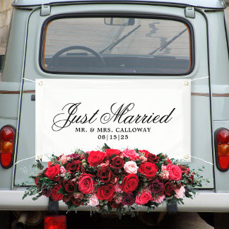 Fancy Just Married Car Banner
