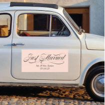 Fancy Just Married Sign