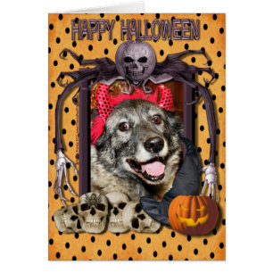 Fancy - Norwegian Elkhound - Salsman Cards