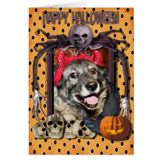 Fancy - Norwegian Elkhound - Salsman Cards (Front)