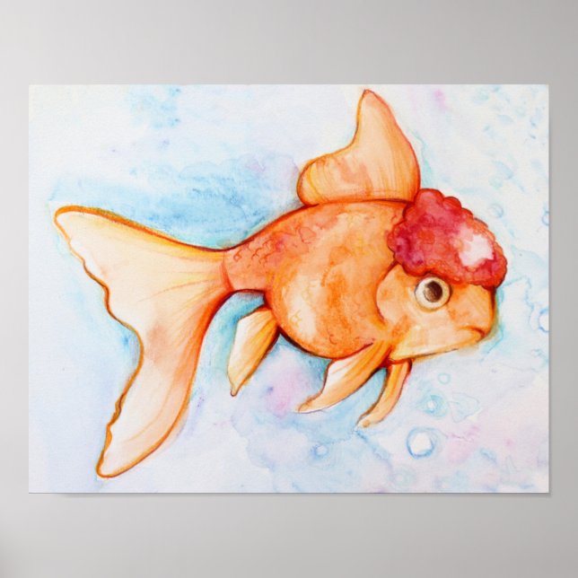 Fancy Oranda Goldfish Poster (Front)