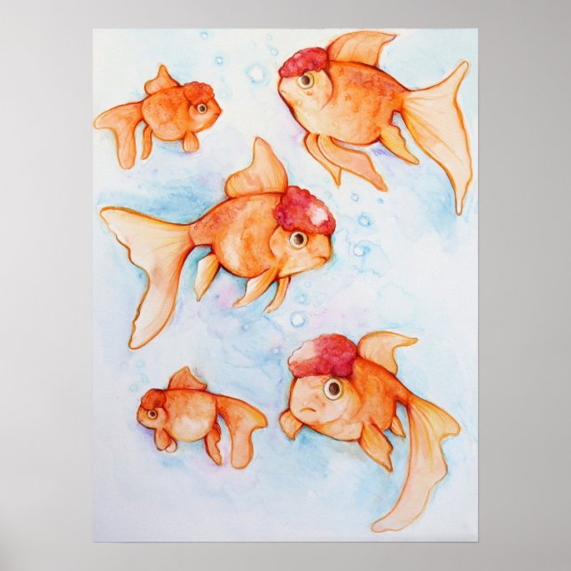 Fancy Oranda Goldfish Poster (Front)