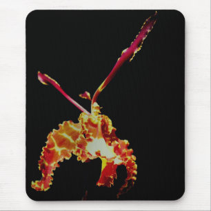 Fancy Orange Orchid Flower Mouse Pad
