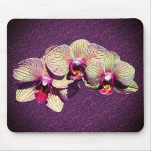 Fancy Orchid Flowers Mouse Pad