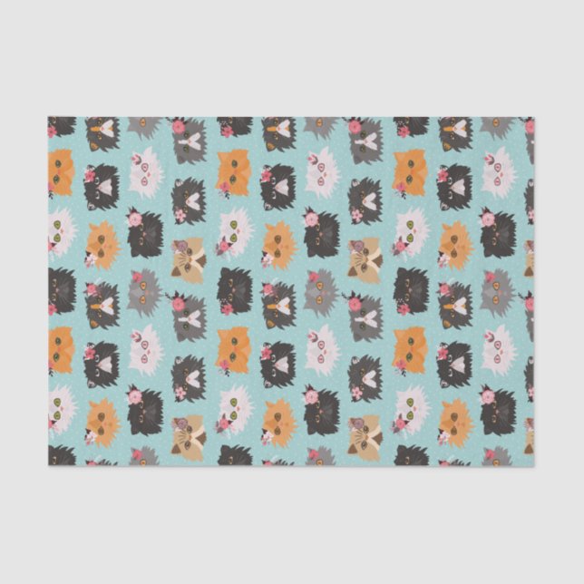 Fancy Persian Cats Tissue Paper (Front)