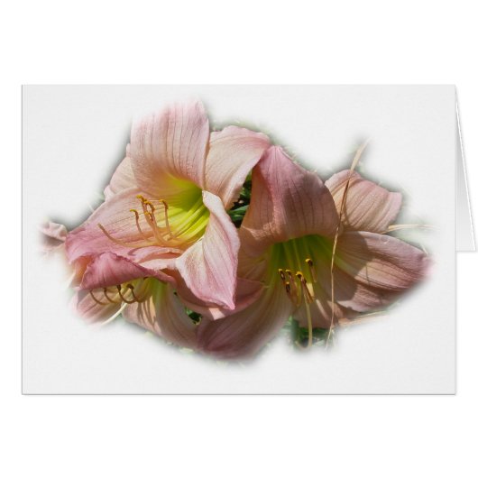 Fancy Pink Daylilies Cards (Front Horizontal)