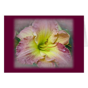 Fancy Pink Daylily Blossom Cards