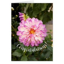 Fancy Purple and White Dahlia Congratulations Card