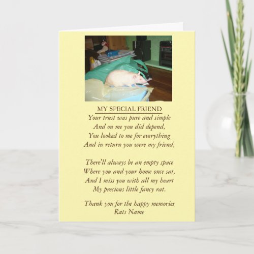 fancy rat and original poem pet sympathy card