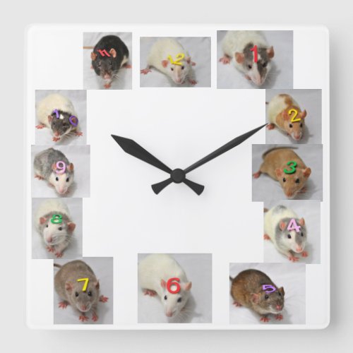 Fancy Rat Clock