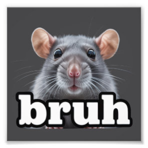 Fancy Rat Rodent Owner Meme Bruh Pet Rat Lover  Photo Print