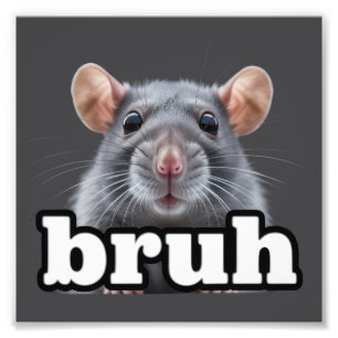 Fancy Rat Rodent Owner Meme Bruh Pet Rat Lover  Photo Print
