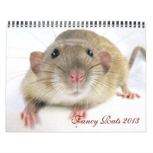 Fancy Rats 2013 Calendar