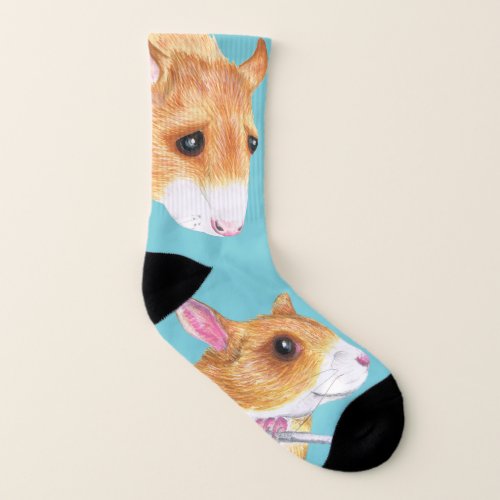 fancy rats socks