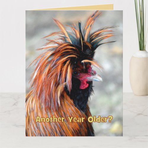 Fancy Rooster Happy Birthday Humor BIG SIZE Card