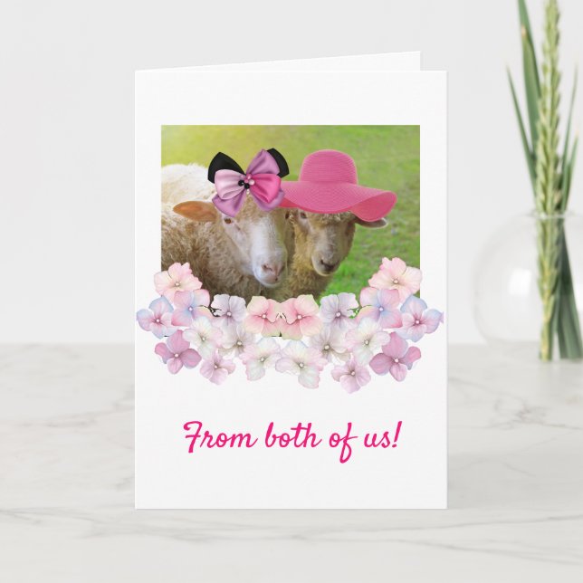 Fancy Sheep "From Both Of Us" Birthday Card (Front)