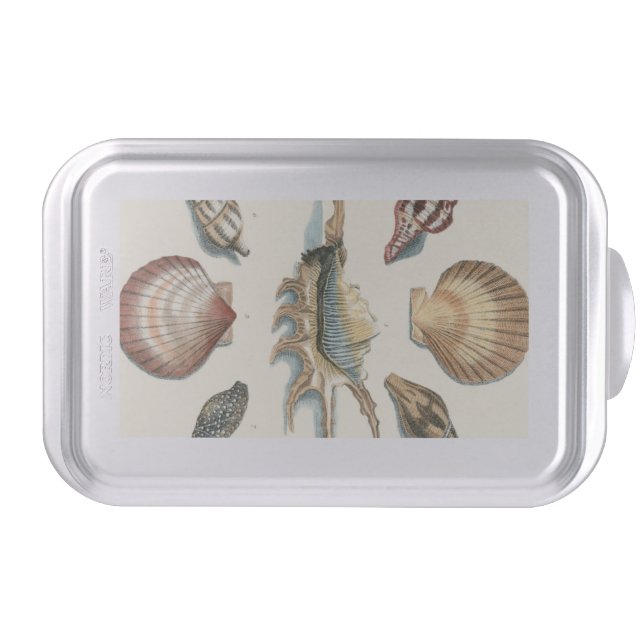 Fancy Shell Beach Cake Pan (Front)