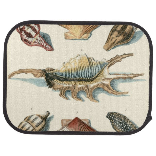 Fancy Shell Beach Car Mat (Rear)