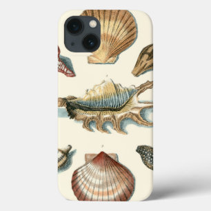 Fancy Shell Beach iPhone 13 Case