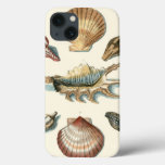 Fancy Shell Beach iPhone 13 Case