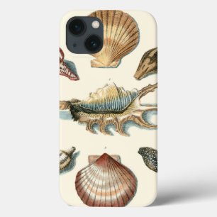 Fancy Shell Beach iPhone 13 Case