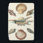 Fancy Shell Beach iPad Mini Cover<br><div class="desc">George Wolfgang Knorr is known for the delicate detail and precision of his illustrations of shells and starfish. His drawings were influenced by his own interest in science,  a popular subject matter of his era.</div>