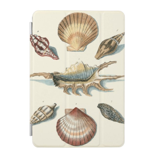 Fancy Shell Beach iPad Mini Cover (Front)