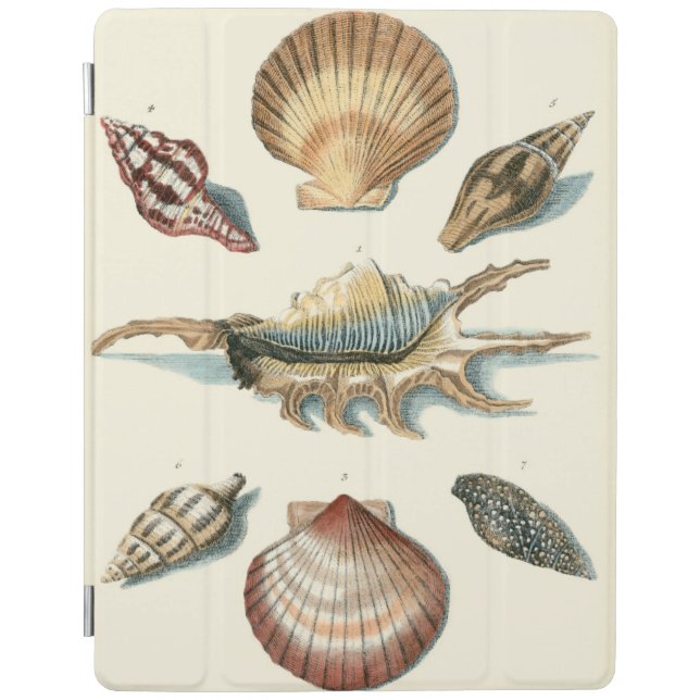 Fancy Shell Beach iPad Smart Cover (Front)