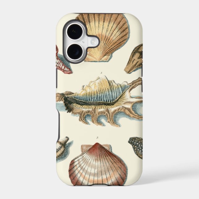 Fancy Shell Beach Iphone Case (Back)