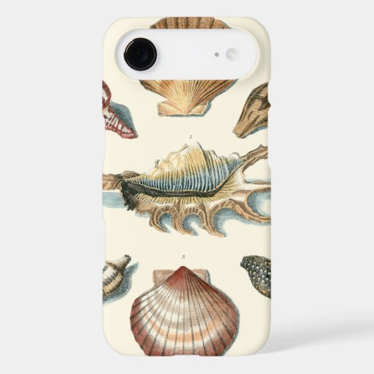 Fancy Shell Beach iPod Touch (5th Generation) Cover (Back)