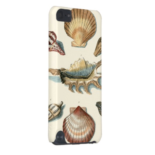 Fancy Shell Beach iPod Touch (5th Generation) Cover (Back/Right)