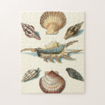Fancy Shell Beach Jigsaw Puzzle