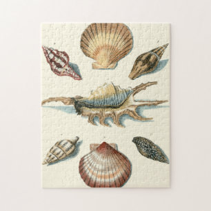 Fancy Shell Beach Jigsaw Puzzle