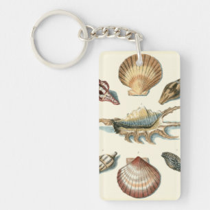 Fancy Shell Beach Keychain