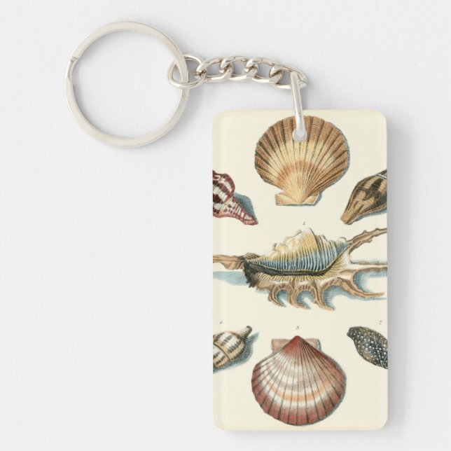 Fancy Shell Beach Keychain (Front)