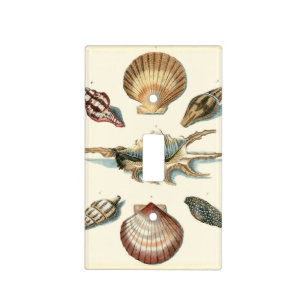 Fancy Shell Beach Light Switch Cover