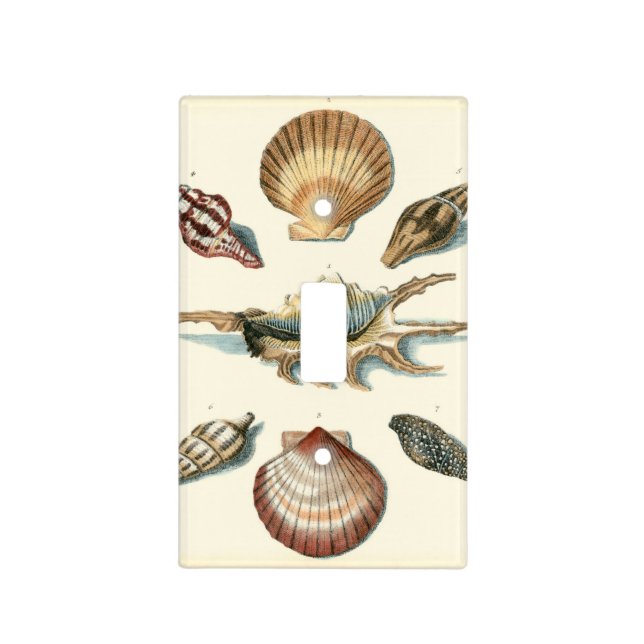 Fancy Shell Beach Light Switch Cover (Front)